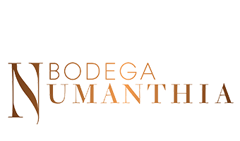 Bodega Numanthia